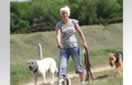group dog walks Peterborough