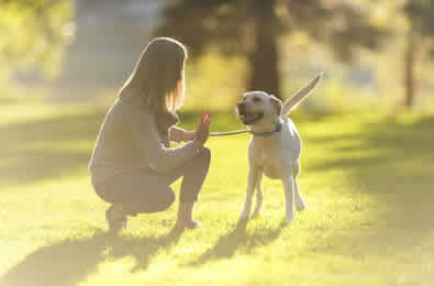 Dog Walker Peterborough